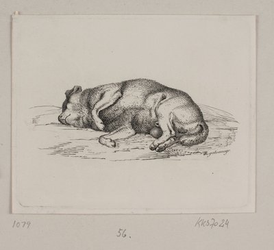 En liggande hund av Vilhelm Kyhn