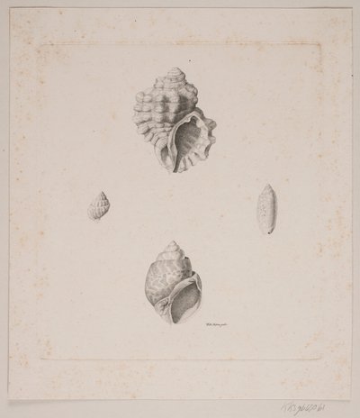 Eldkonkylier av Vilhelm Kyhn