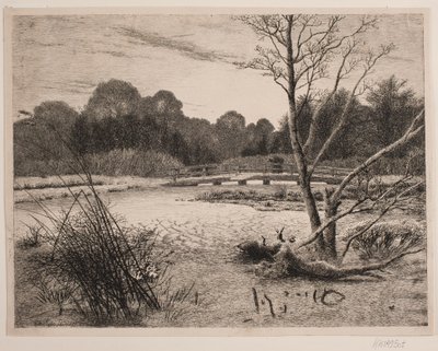 Solnedgång i en skog av Vilhelm Kyhn