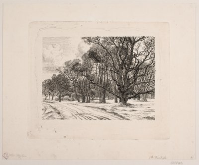 Vinter i skogen av Vilhelm Kyhn
