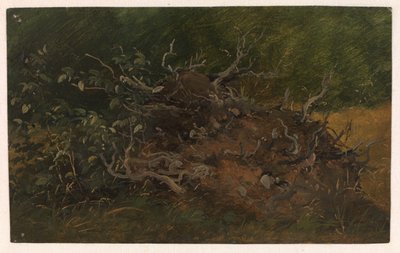 Studie av en trädstubb av Vilhelm Petersen