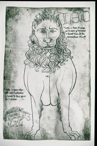 Ms Fr 19093 fol.24v Lejon och piggsvin (faksimil) av Villard de Honnecourt