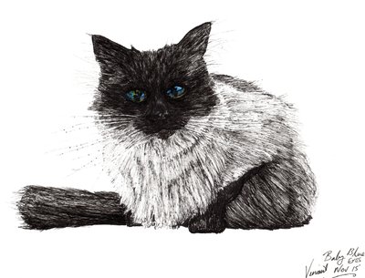 Babyblå ögon, 2015, (bläck på papper) av Vincent Alexander Booth