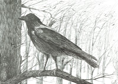 Fågel, 2011 av Vincent Alexander Booth