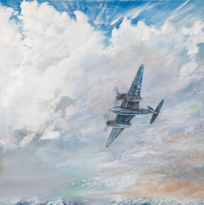 D.H.Mosquito, 2016, av Vincent Alexander Booth