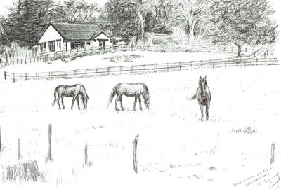 Hästar på toppen av banan, 2008 (bläck på papper) av Vincent Alexander Booth