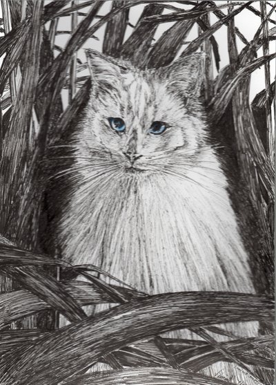 Jungle Monty, 2015, (bläck på papper) av Vincent Alexander Booth
