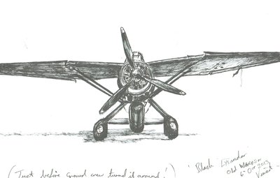 Lysander på Old Warden, 2012 av Vincent Alexander Booth