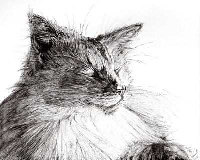 Monty cozy boy, 2015, (bläck på papper) av Vincent Alexander Booth