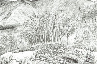 Gammal stenbro i sjödistriktet, 2005 av Vincent Alexander Booth