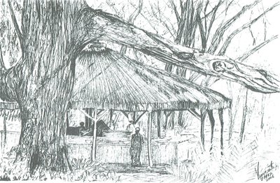 Utomhusbar, sjön Naivasha, 2006; (bläck på papper) av Vincent Alexander Booth