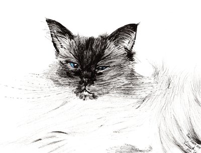 Sleepy eye, 2015, (bläck på papper) av Vincent Alexander Booth