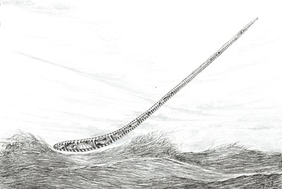 Stormskapare Lake Mweru, 2023 av Vincent Alexander Booth