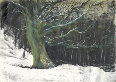 Träd i vintersnö vid Osmotherley woods av Vincent Alexander Booth