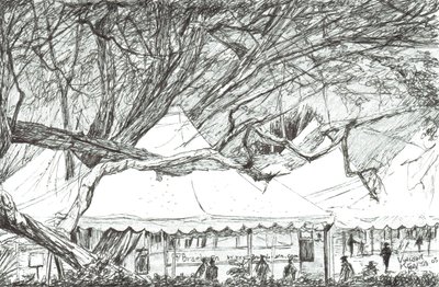 Bröllopstält vid Lake Nawesha Kenya, 2003 av Vincent Alexander Booth