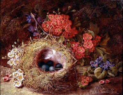 Stilleben av ett fågelbo och en blomma av Vincent Clare