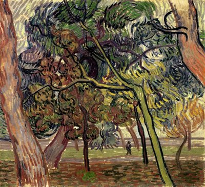 Tallar i asylens trädgård, 1889. av Vincent van Gogh