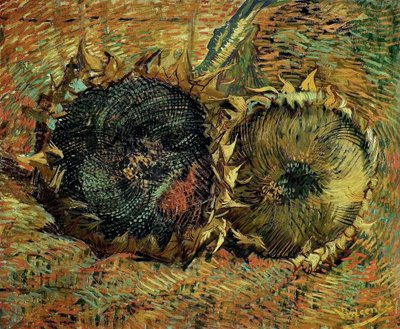 Två skurna solrosor, 1887. av Vincent van Gogh