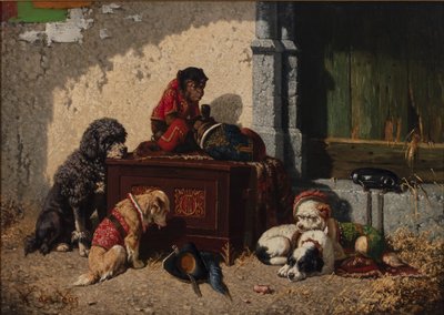 Cirkuskompanjoner av Vincent de Vos
