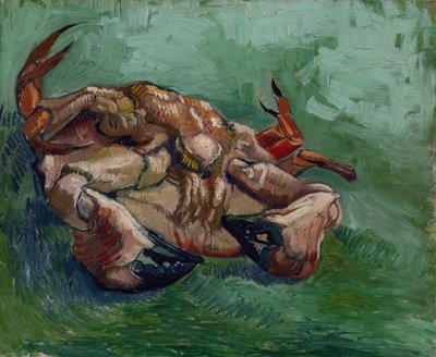 A Crab on its Back av Gogh, Vincent, van (1853-1890). Olja på duk, storlek: 38x46,8 av Vincent van Gogh