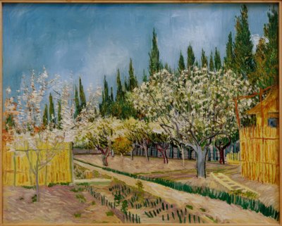 Blommande fruktträdgård omgiven av cypresser av Vincent van Gogh