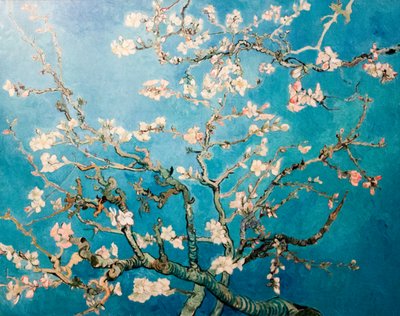 Holländska: Amandelbloesem Blomning Mandel Kvist Träd av Vincent van Gogh