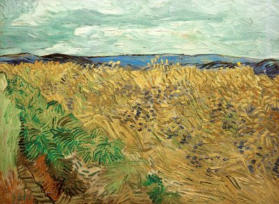 Fält med blåklint av Vincent van Gogh