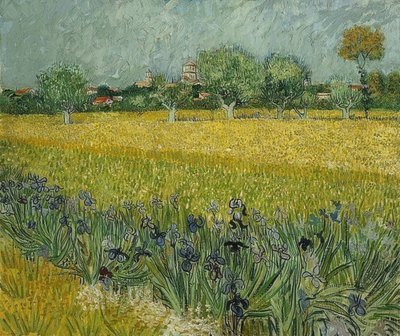 Fält med iris nära Arles. maj 1888 av Vincent van Gogh