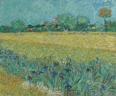 Fält med blommor nära Arles av Vincent van Gogh
