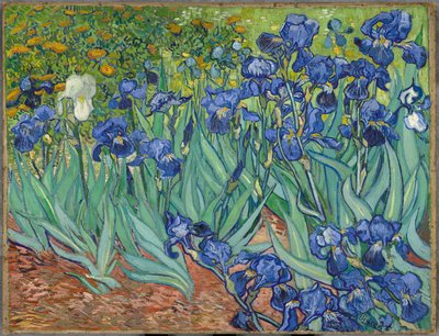 Iris av Vincent van Gogh