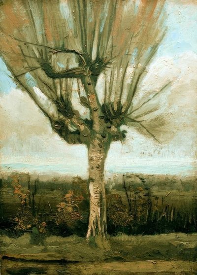Pollared vide av Vincent van Gogh