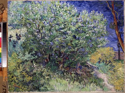 ""Syrenbusken"" (Lilac Bush) Målning av Vincent van Gogh (1853-1890) 1889 Mått 72x92 cm Eremitagemuseet, Sankt Petersburg (Saint-Petersburg) av Vincent van Gogh