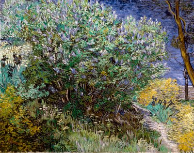 Syrenbusken. Vincent VAN GOGH (1853-1890) av Vincent van Gogh