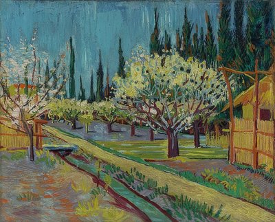 Fruktträdgård omgiven av cypresser. 1888 av Vincent van Gogh