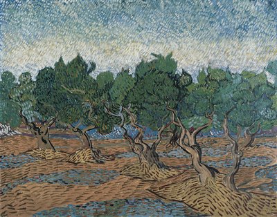 Olivlund av Vincent van Gogh