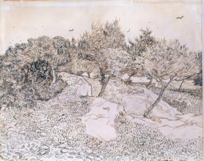 Olivträd i Montmajour av Vincent van Gogh