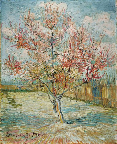 Rosa persikoträd (Souvenir de Mauve) av Vincent van Gogh