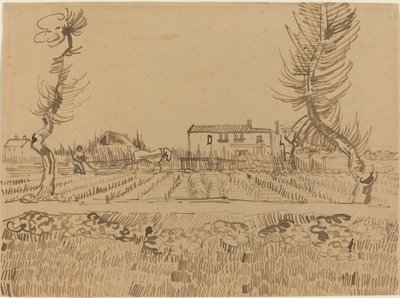 Ploughman in the Fields near Arles, 1888. av Vincent van Gogh