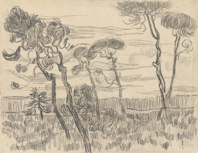 Sex tallar nära inhägnadsväggen, 1899 av Vincent van Gogh