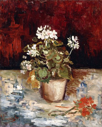 Stillebenskruka med pelargoner, 1886 av Vincent van Gogh