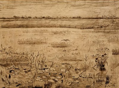 Träsklandskap med näckrosor av Vincent van Gogh