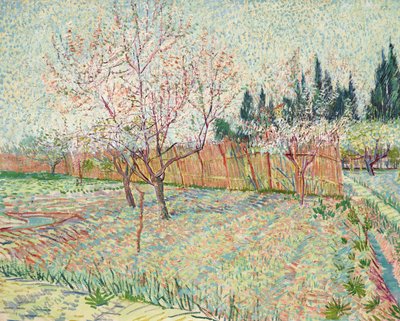 Fruktträdgård med cypresser av Vincent van Gogh