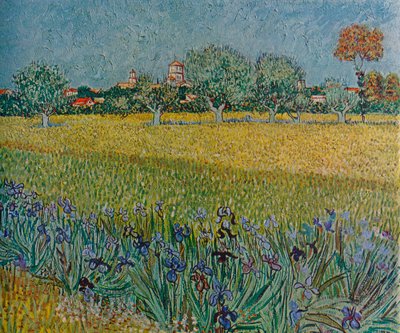 Utsikt över Ales med iris i blom, 1888 av Vincent van Gogh