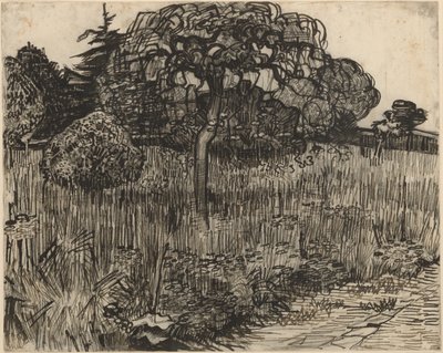 Gråtande träd av Vincent van Gogh