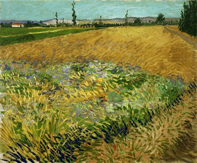 Wheatfield av Vincent van Gogh