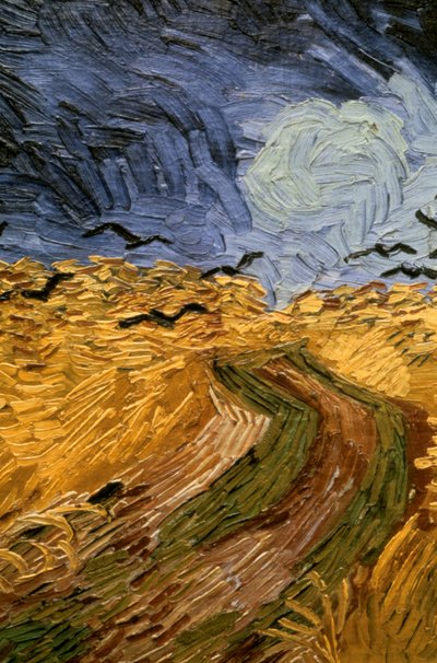 Vetefält med kråkor, detalj 1890. av Vincent van Gogh