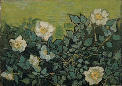 Vildrosor av Vincent van Gogh