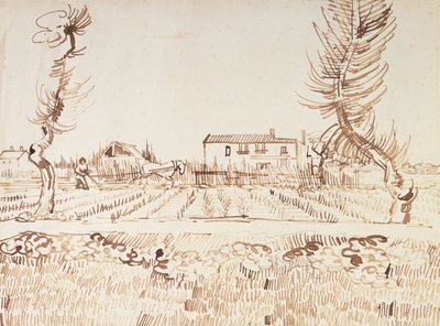 Arbeta på fälten i Arles; Plogman på fälten i Arles, 1888 av Vincent van Gogh