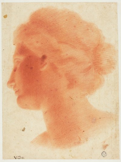 Huvud av Venus de Medici av Vincenzo Dandini