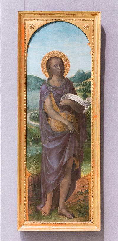 Sankt Johannes Döparen av Vincenzo Foppa